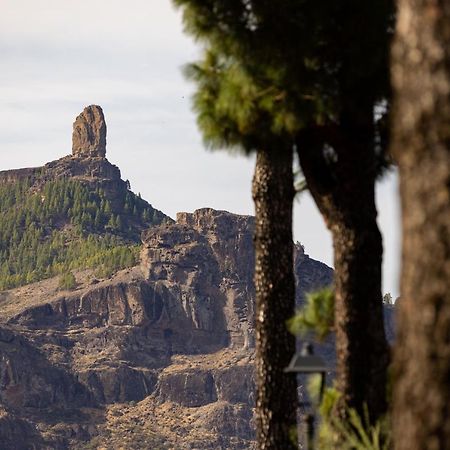 Апартаменты Casa Maria With Roque Nublo View Крус-де-Техеда Экстерьер фото
