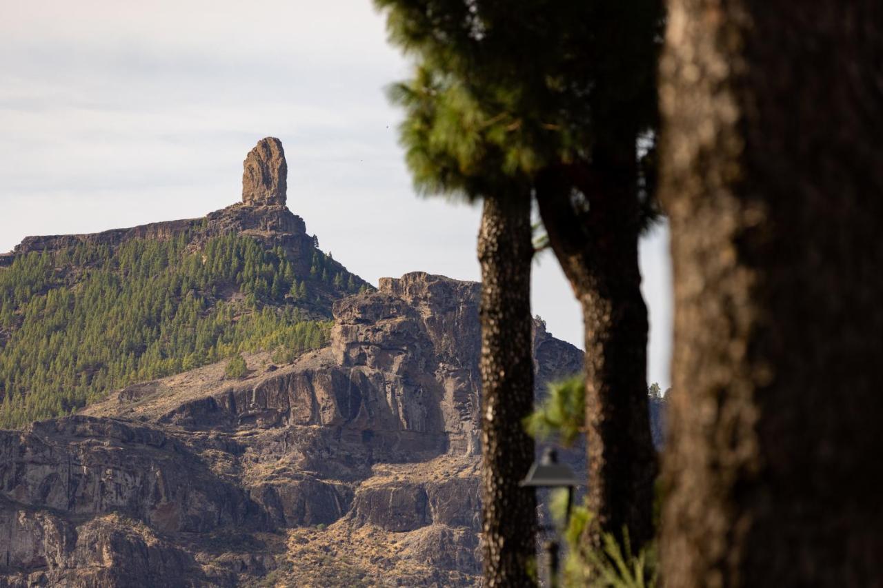 Апартаменты Casa Maria With Roque Nublo View Крус-де-Техеда Экстерьер фото
